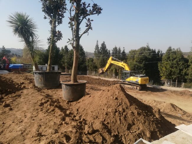 Kocaeli ve Sakarya Bölgesinde Bahçe Toprağı Kullanımı, Rulo Çim Uygulamaları ve Peyzaj Toprak Rehberi | Göksallar İnşaat